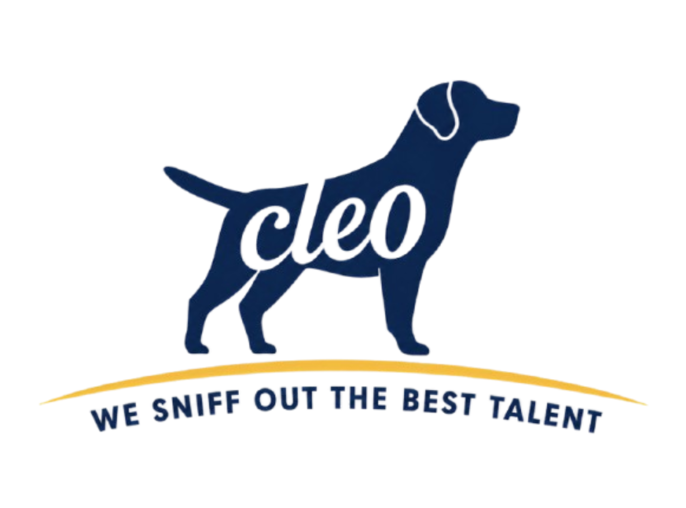 Cleo Consulting